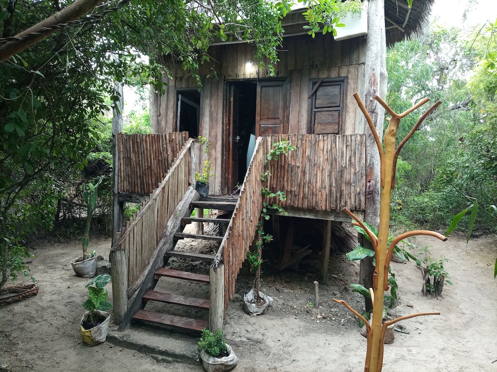 Room-mida Creek Eco Camp - Cottage House
