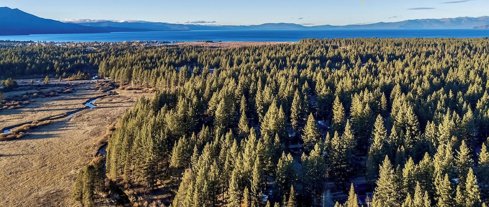 The Blue Bear Cabin Lake Tahoe Family Getaway 2 Bedroom Home