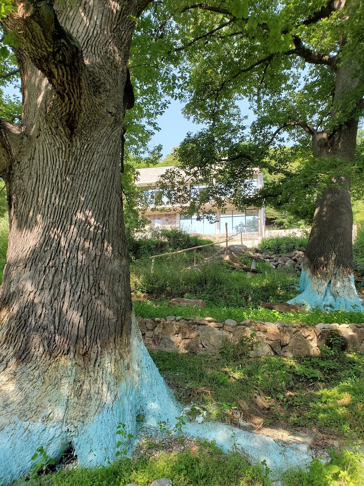 The Whispering Oaks Retreat