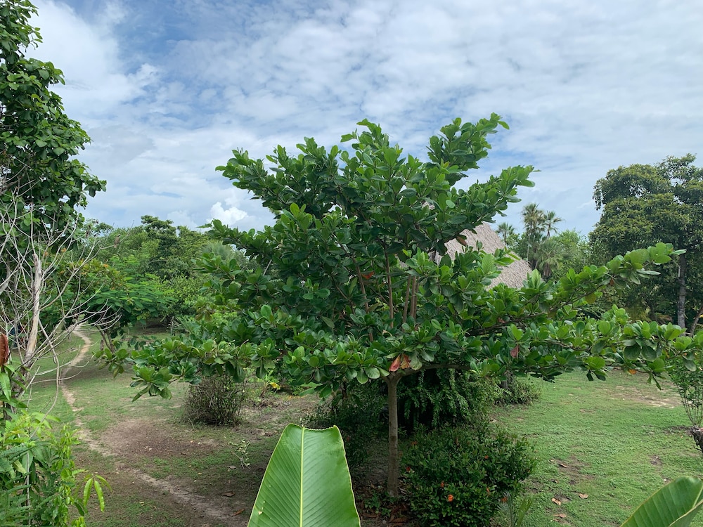 Palmento Grove Eco Cultural & Fishing Lodge