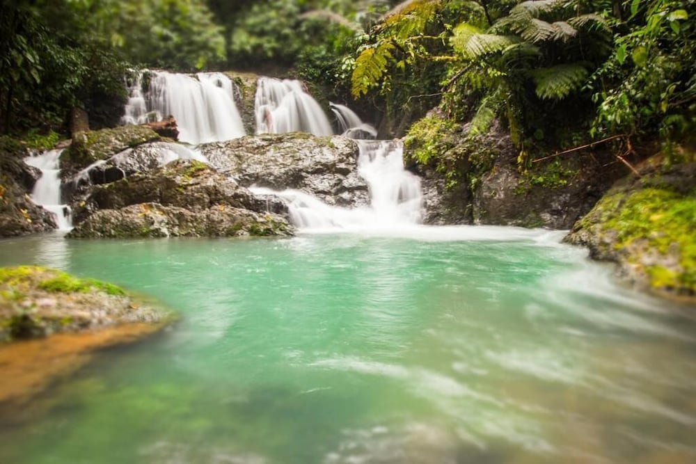 Naguala Jungle Lodge