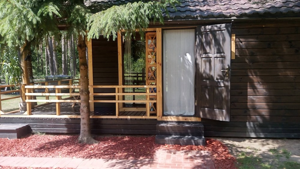 Metai Miške&a Year in the Forest