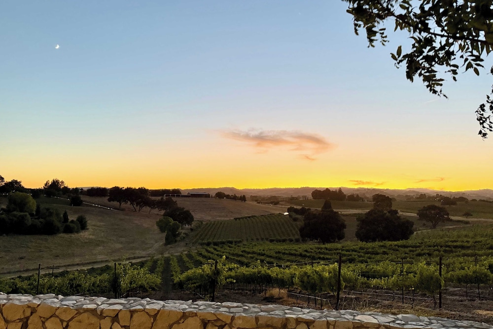 Wine Country Escape w/ Views + Wine Cellar & Gym Caterina Dusi Vineyard by Avantstay