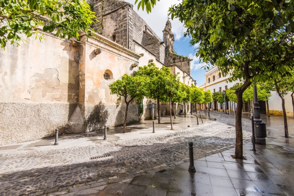 La Ronda C diz in Jerez de la Frontera