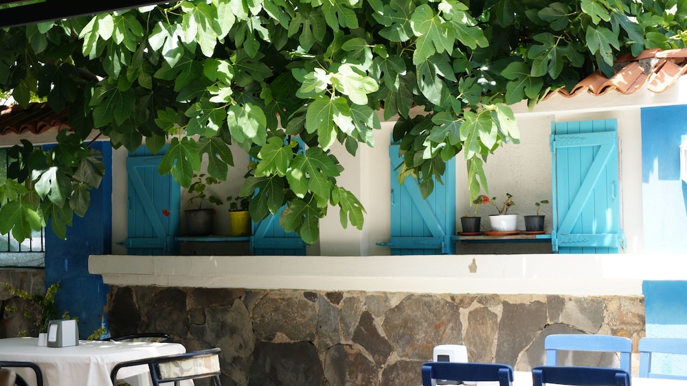 Koz Marigold Apart Otel - Image 118