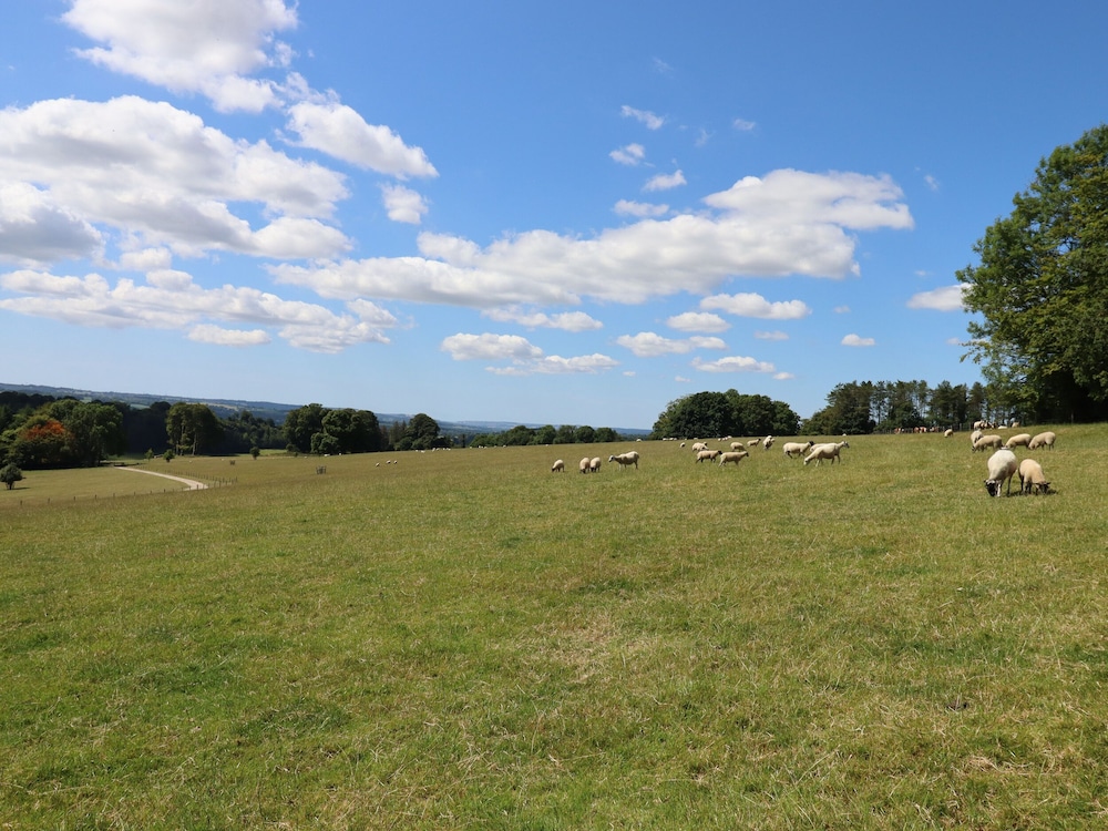 Swandown, 2 Blackdown