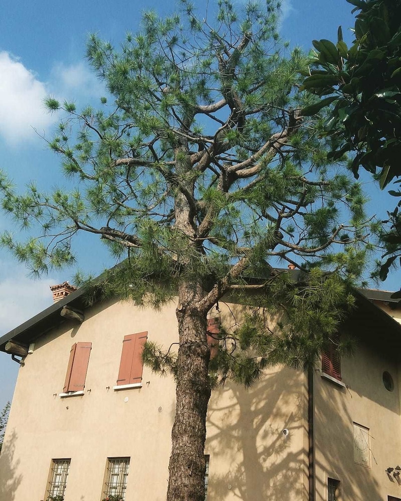 Photo 26