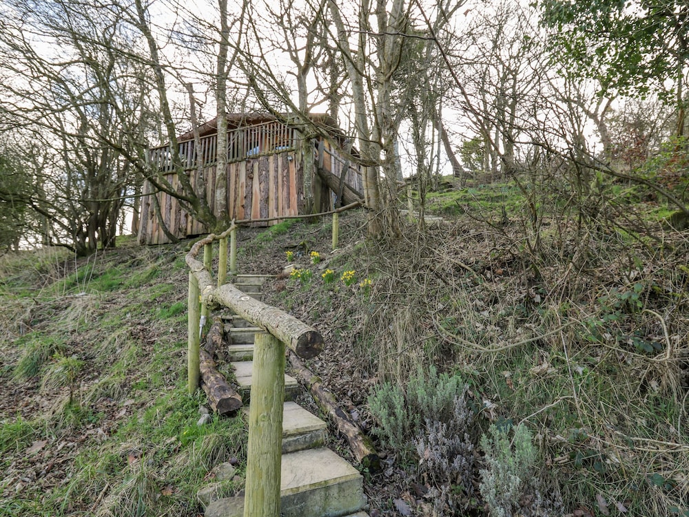 Tree House