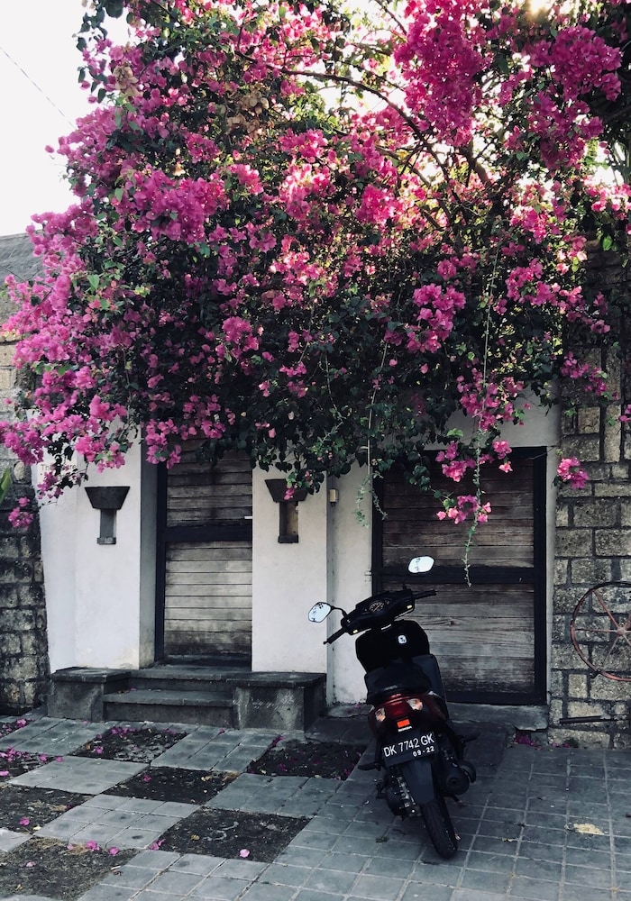 Lush 1 BR Private Pool Villa Inseminyak