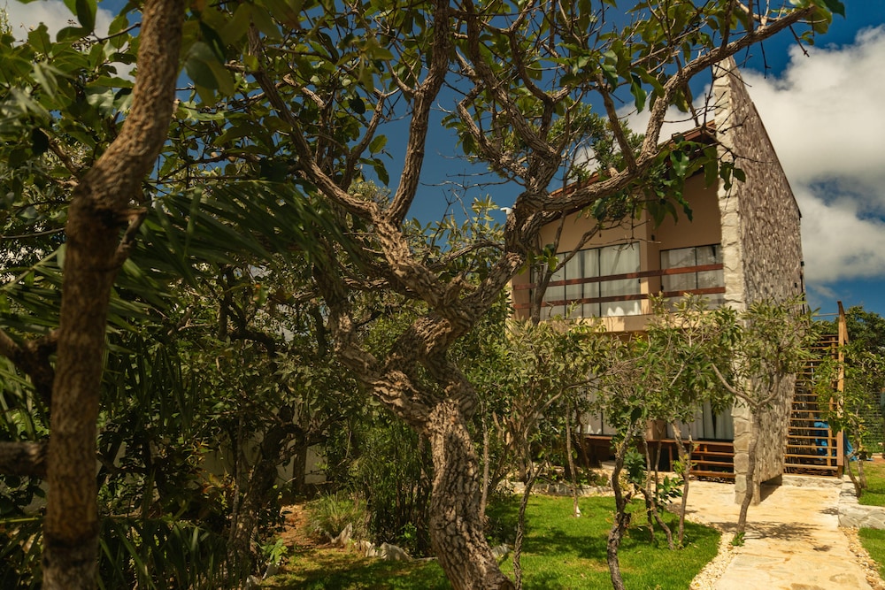 Lofts Lobo Guara