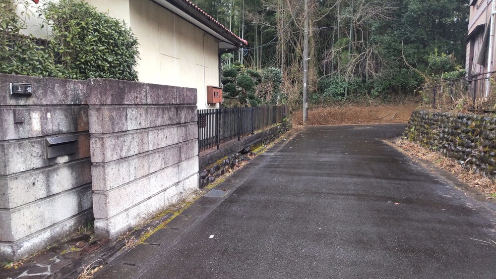 Photo 42