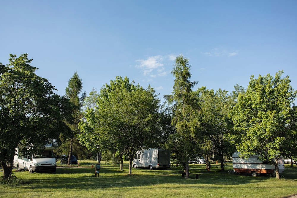 Camp Dzban