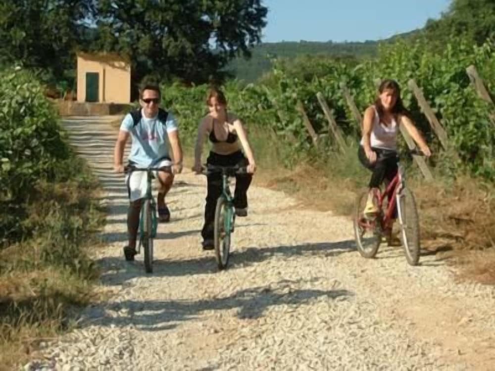 Agriturismo La Pisana