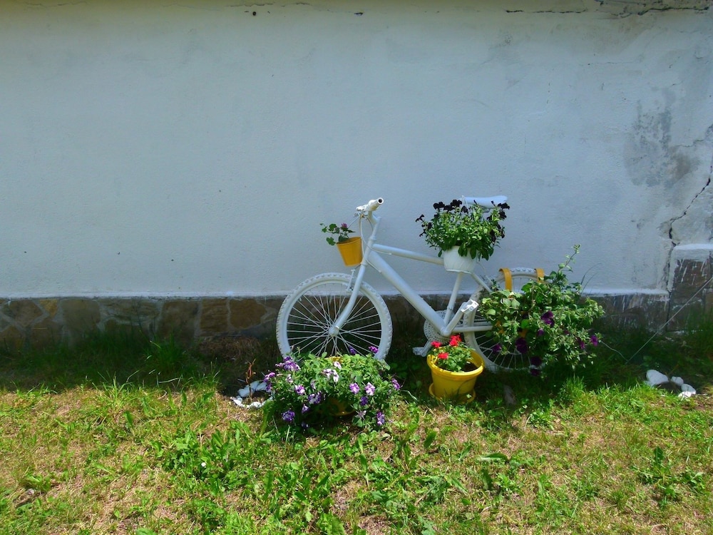 Photo 11