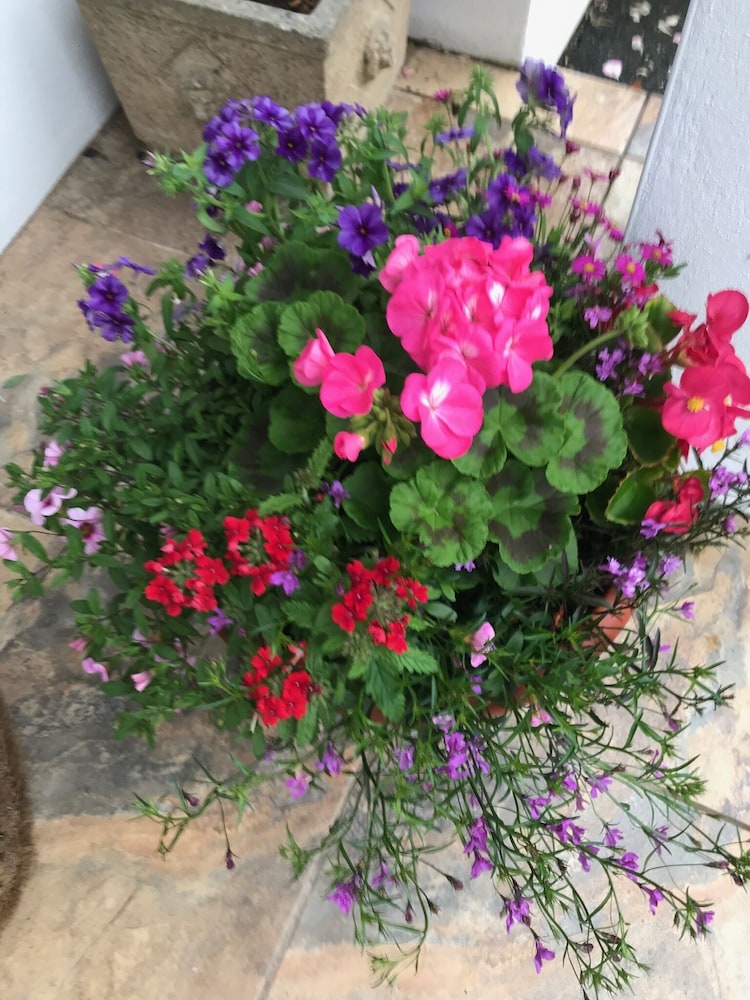 Gwynarth B&B