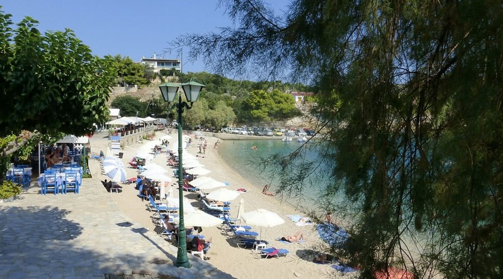 Dina s Flowers - Alonnisos Summer Gem