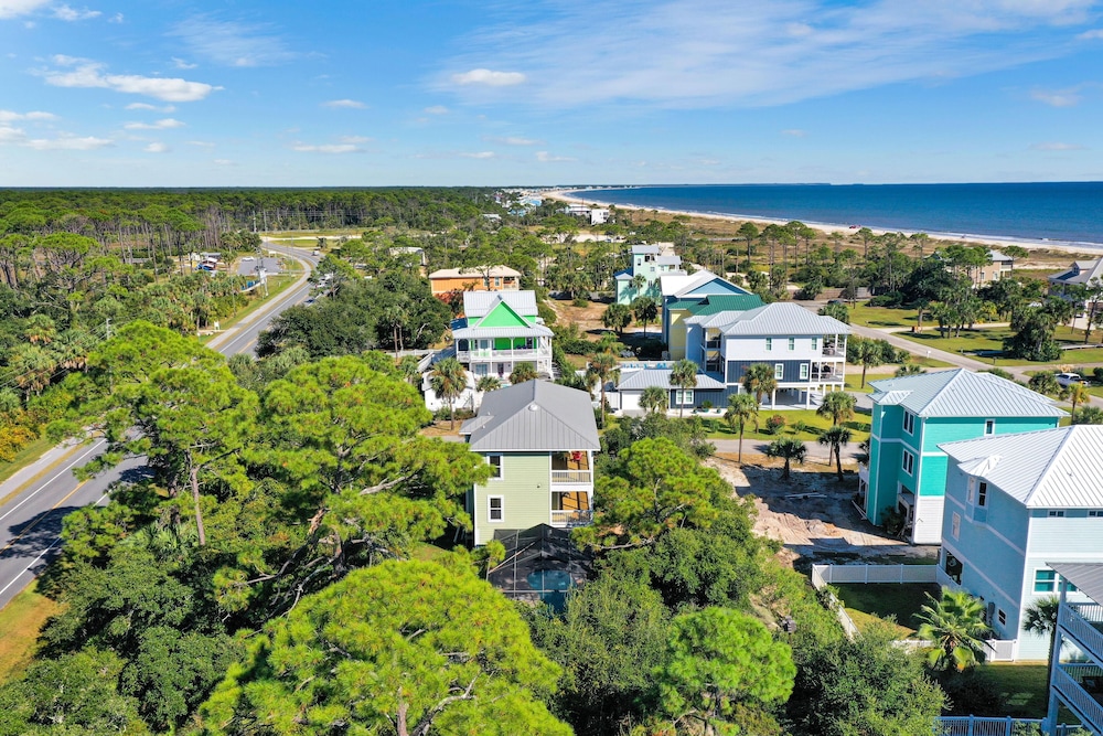 Cape Palms