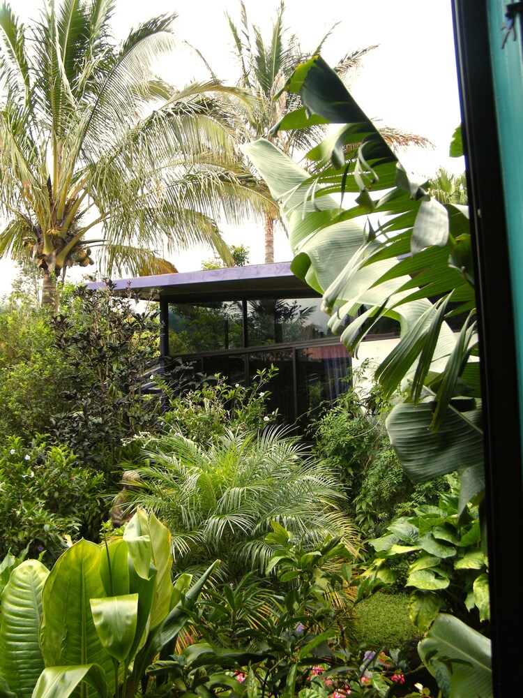 Hotel Isla Verde, photo 33