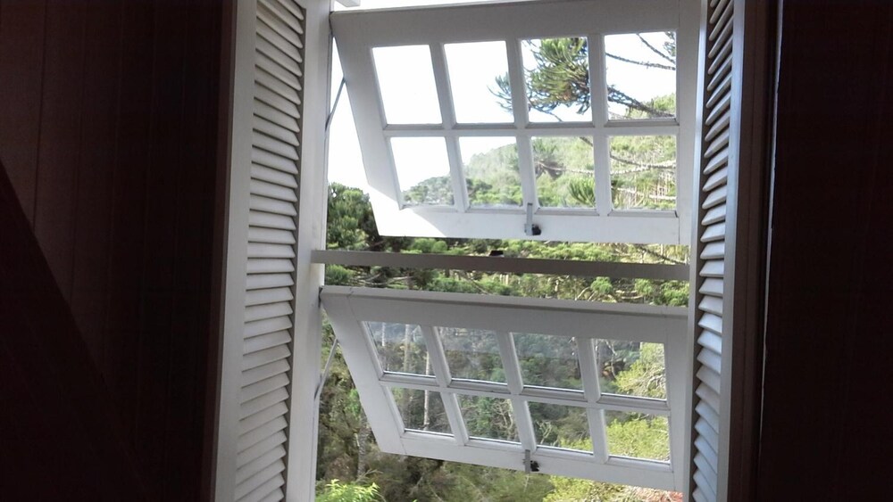 Forest Pine Inn