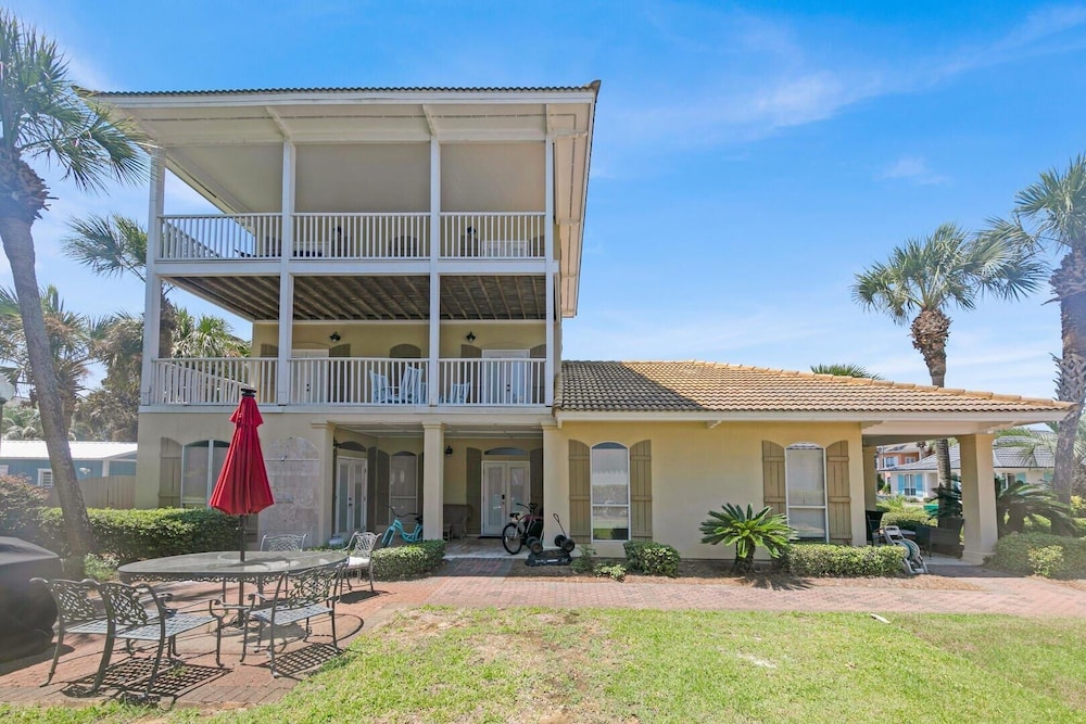Palmetto Palms