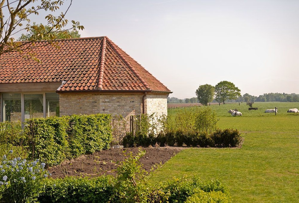 Photo 42