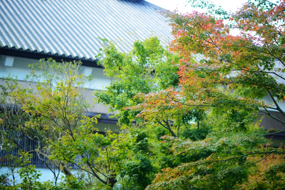 1000 Years of Tradition - Akiu Onsen Sakan