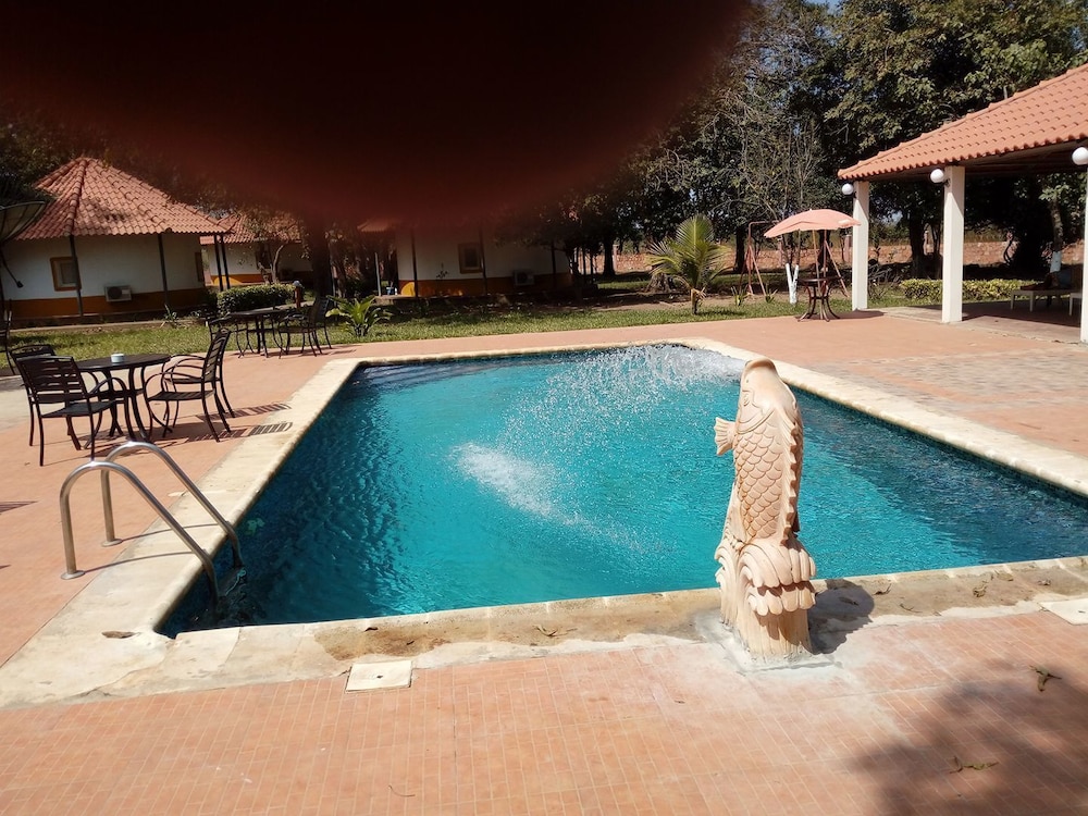 Photo 41