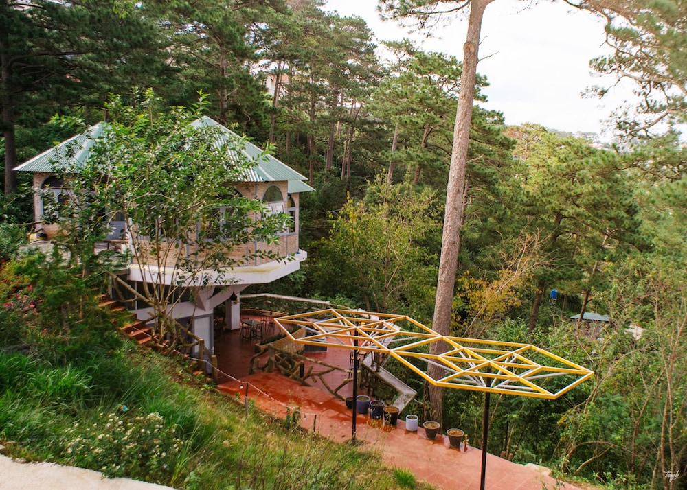 Maple Hostel