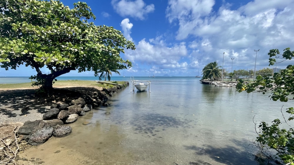 Raiatea - Orion Pool Bungalow