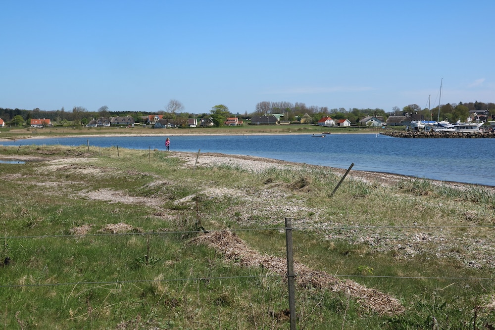 Birkelygaard Bed & Breakfast