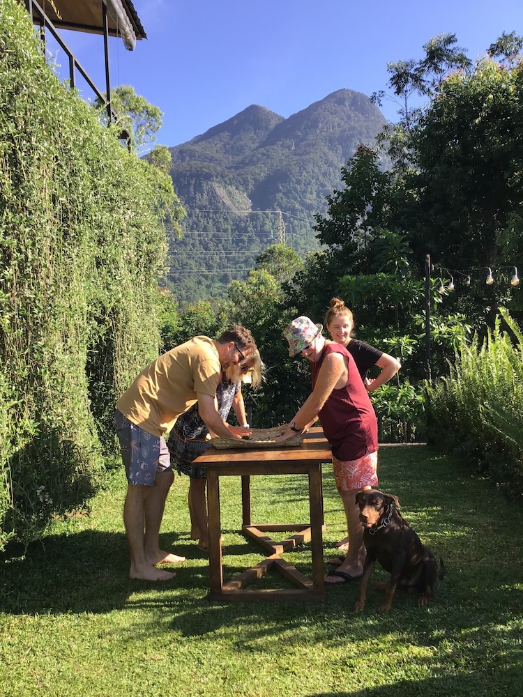 The Backyard Blangoda