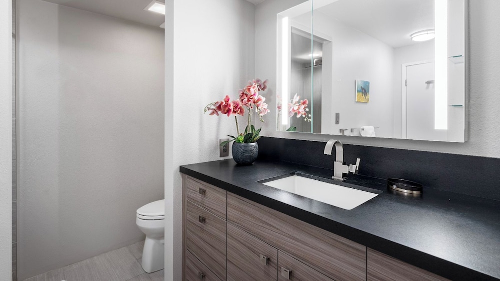 Ocean View - No Stairs! - In Unit Washer/dryer -top Floor- Vrkcv