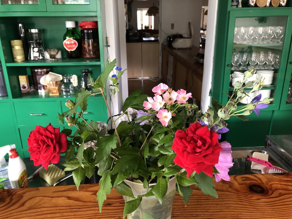 Guest House Vingt-neuf