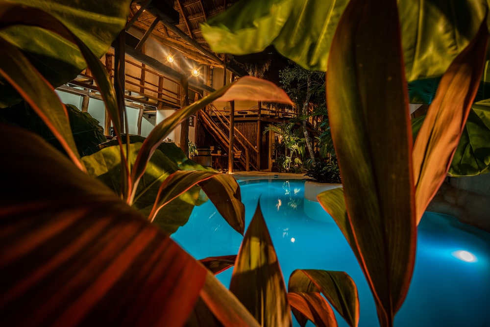 Hotel Boutique TerraNova - Property Image 20
