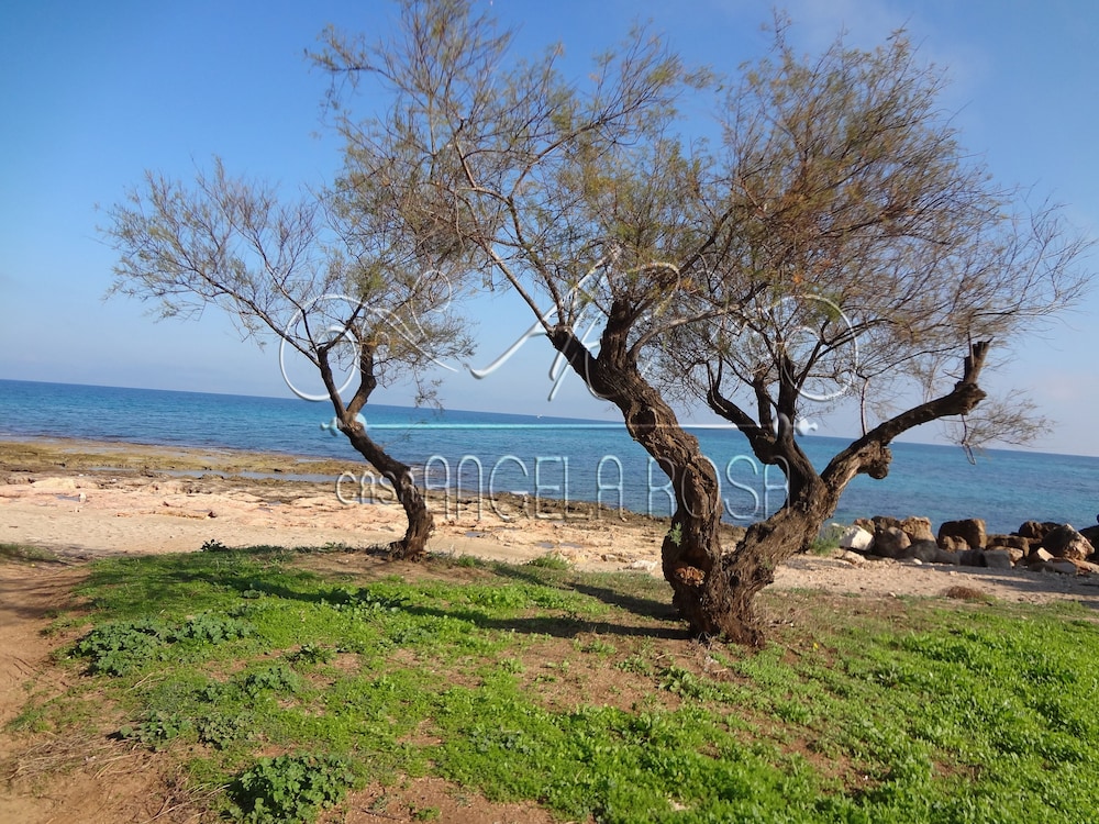 Casa Angela Rosa
