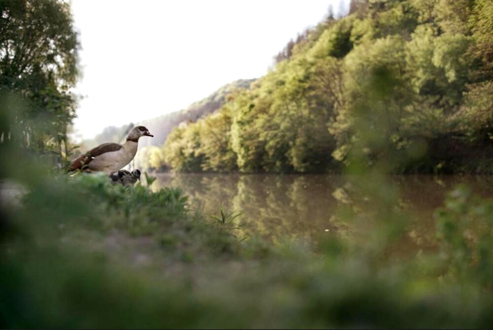Haus Am Fluss