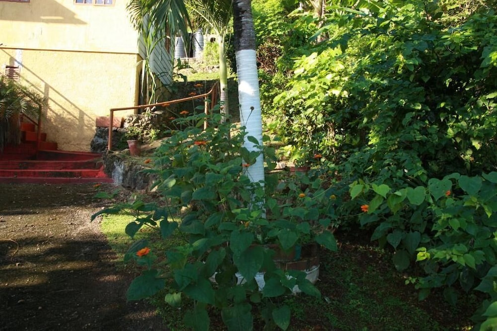Photo 32