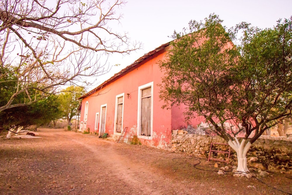 Photo 12