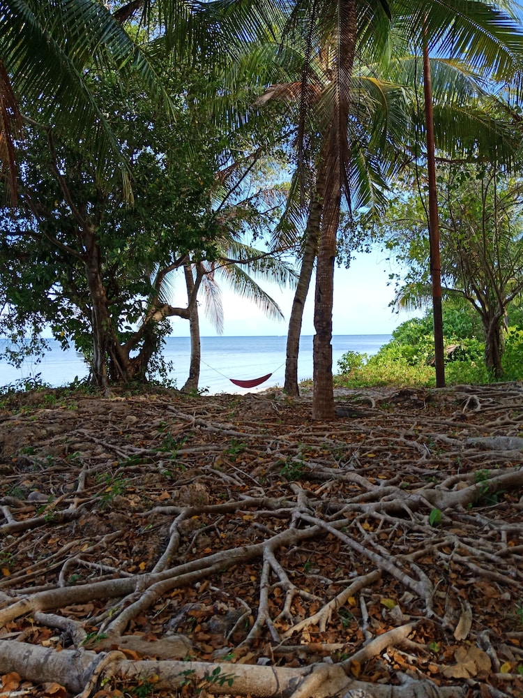 Hoga Island Dive Resort Wakatobi
