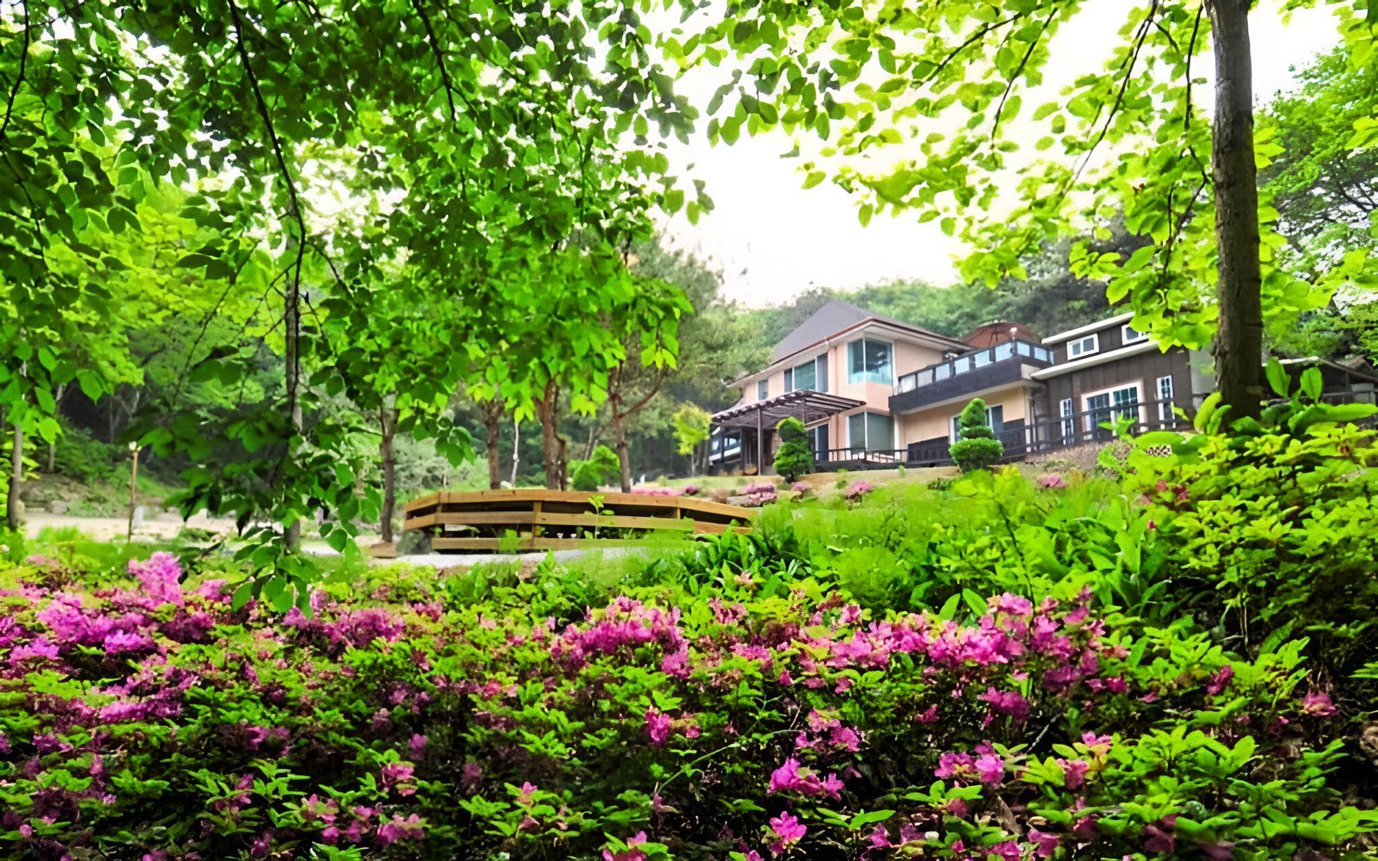 Yangpyeong Beatrice Pension view 3