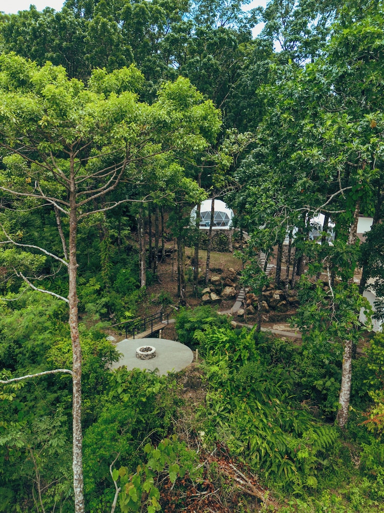 Matahom Forest Glamping Tent 1