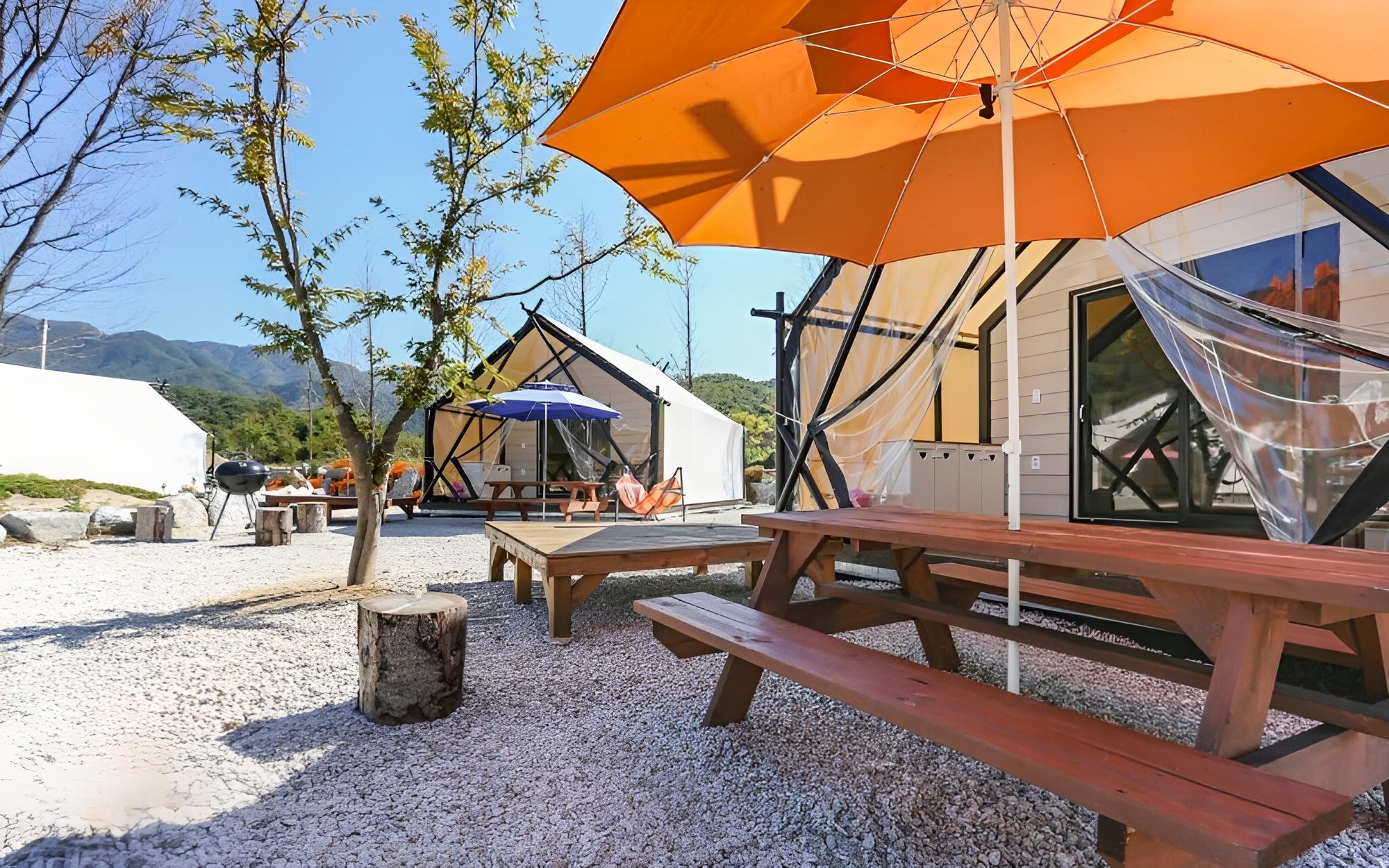 Pocheon Moonlight Dog Glamping Site view 4