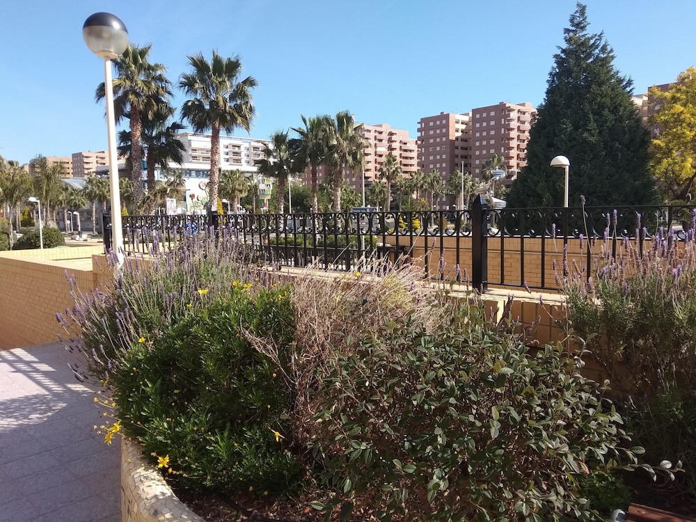Photo 20