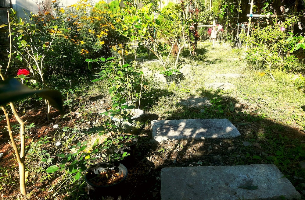 Photo 46