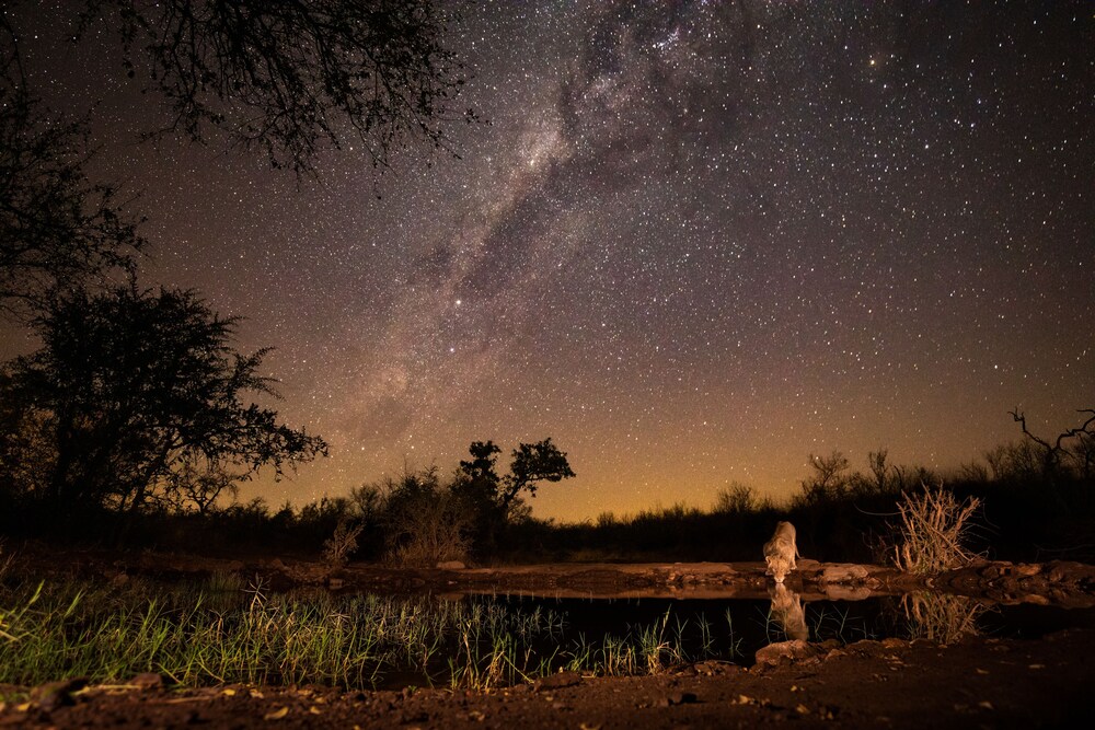 Antares Bush Camp & Safaris - Hostel