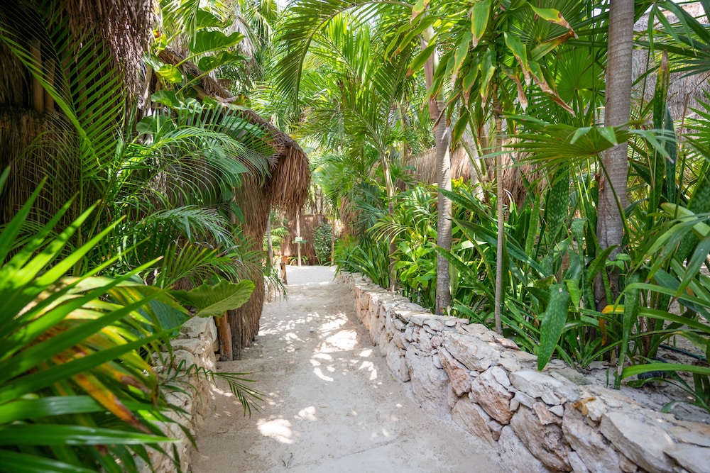 Ahau Beachfront Tulum Hotel 155