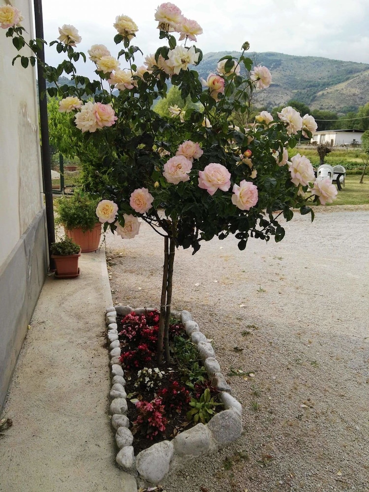 Agriturismo Campo Del Monaco view 4