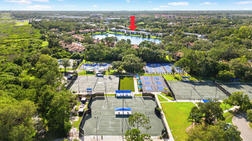 Modern Lakeside Condo 2 Bed, 2 Bath Oldsmar, FL