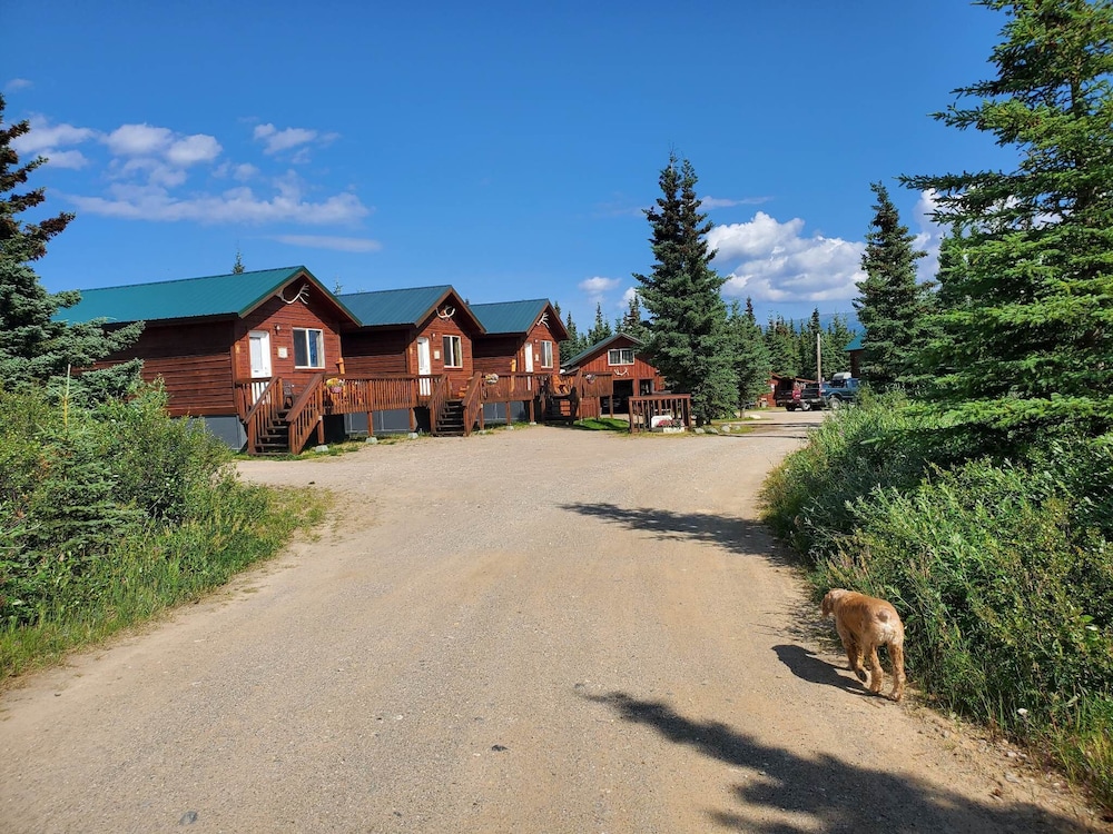 DENALI'S ALASKAN SPRUCE CABINS