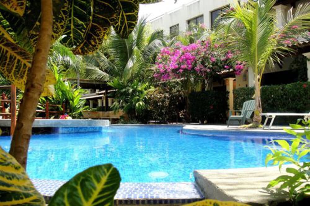 Tropical Gardens